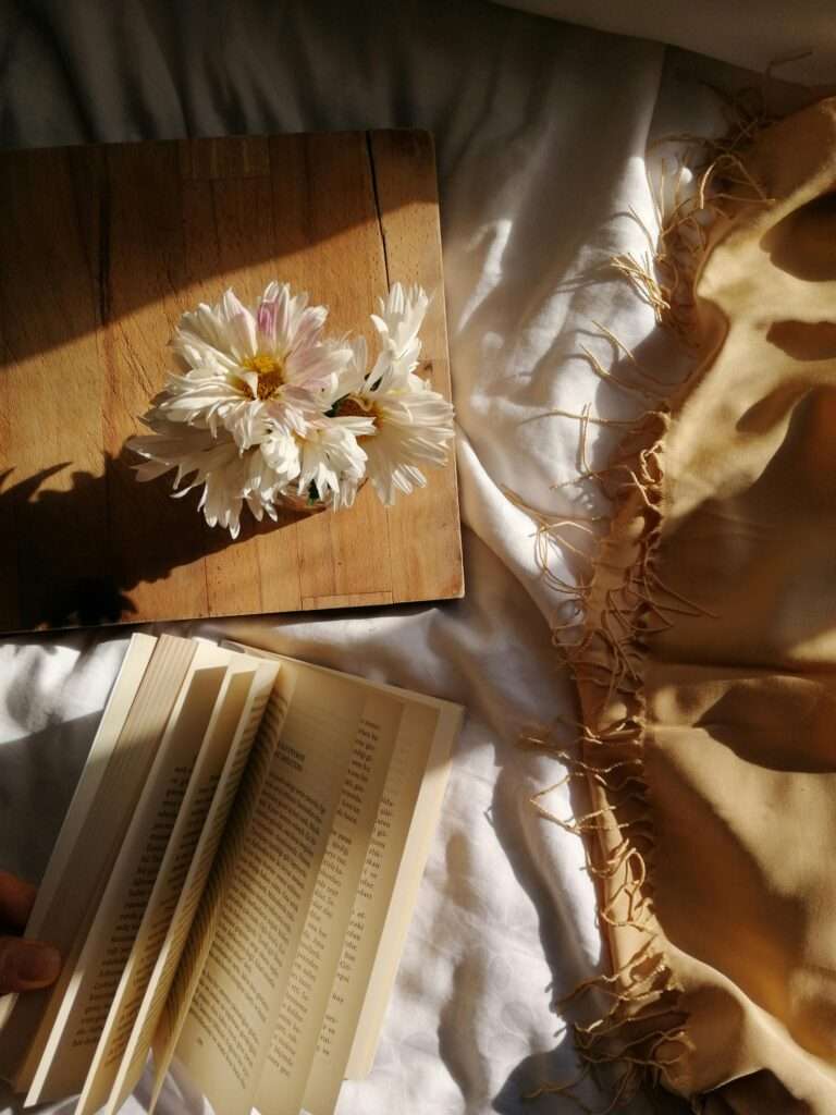 White daisies in a bouquet on a wooden surface beside an open book, with warm sunlight and a beige fringed scarf nearby.